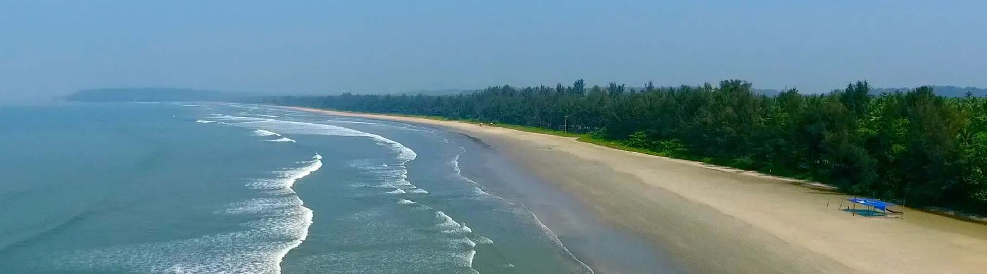 Kannur Houseboat team with 17 years of experience in Kerala backwater tours and houseboat services – a unit of Aronee Tours and Travels Pvt. Ltd.