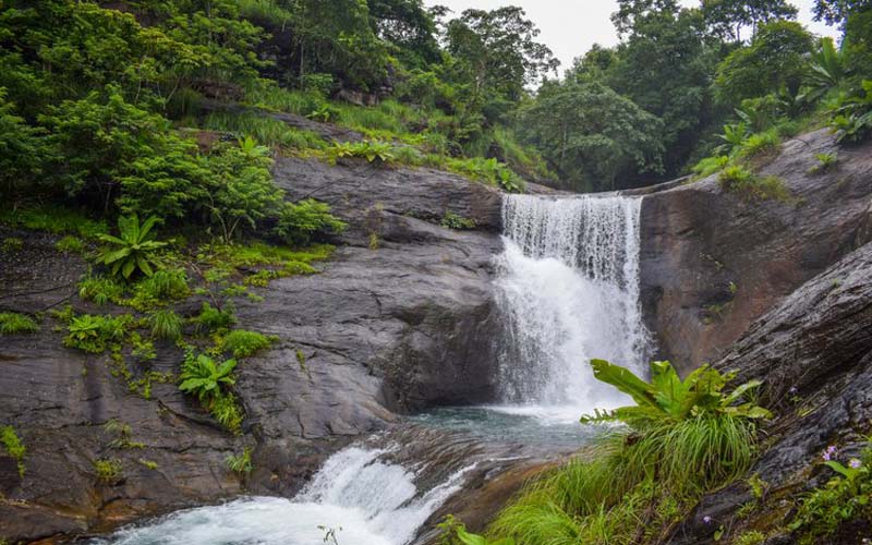 Beautiful Kerala tour package including Kannur, Bekal, Wayanad, and Coorg organized by Kannur Travels